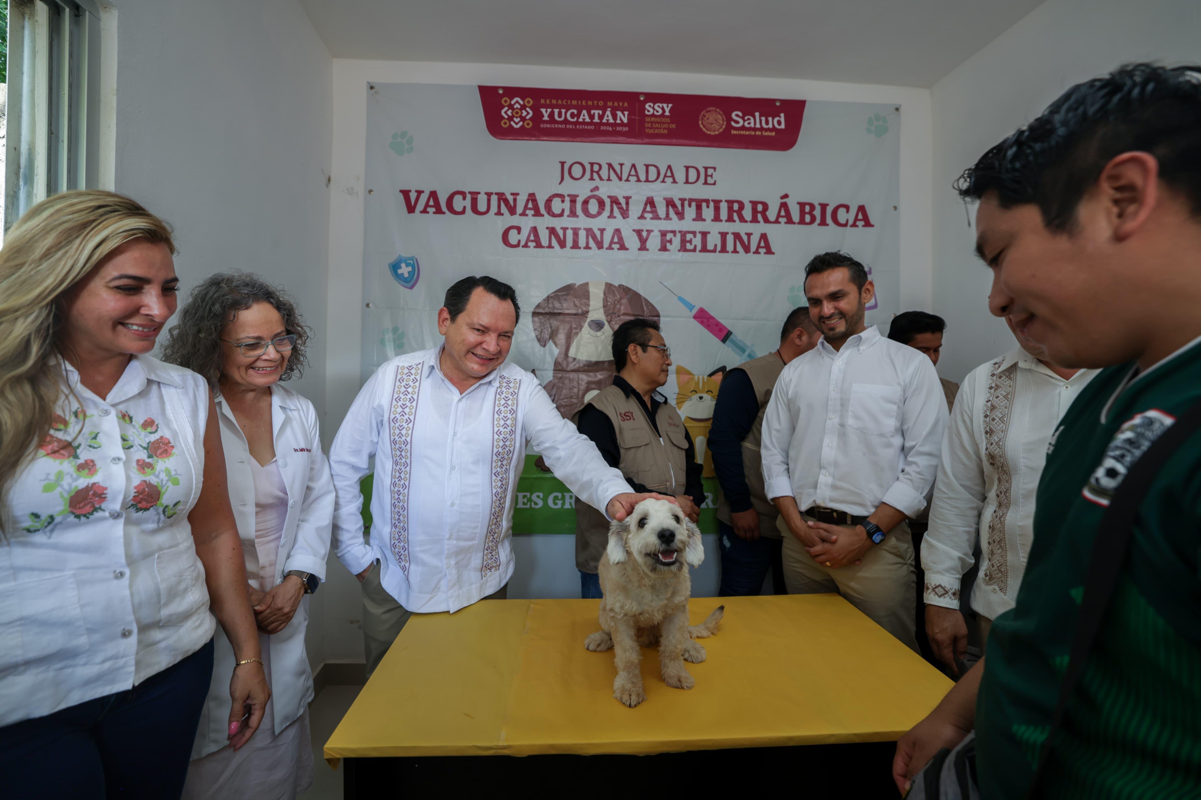 Inicia la Semana Nacional de Vacunación Antirrábica Canina y Felina 2025 en Yucatán